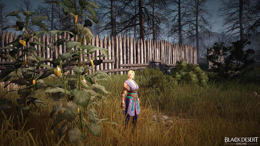 https://www.bubitekno.com/tag/black-desert-turkiye-mena